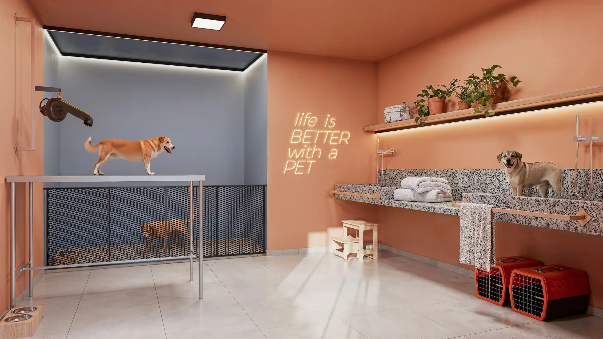 Pet care do Ares Residencial